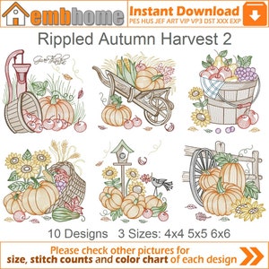 Rippled Autumn Harvest Machine Embroidery Designs Instant Download 4x4 5x5 6x6 hoop 10 designs APE3221