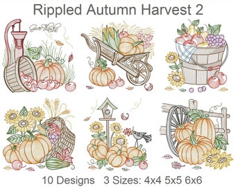 Rippled Autumn Harvest Machine Embroidery Designs Instant Download 4x4 5x5 6x6 hoop 10 designs APE3221