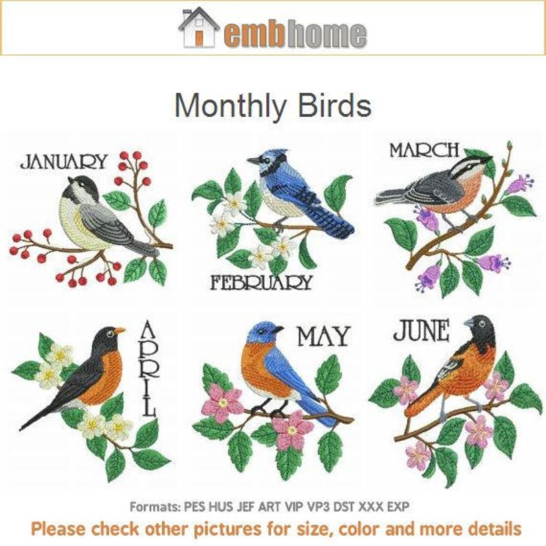 Monthly Birds Machine Embroidery Designs Instant Download 4x4 Etsy