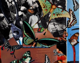 May include: A collage art print featuring a brown hand holding a brown container filled with various colorful butterflies. The background includes black and white images of people and a blue vertical stripe with a red shape.