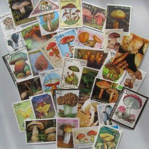 Mushroom postage stamps from all over the world, 25 or 50 mushroom postage stamps, used & mint mushroom stamps, mushroom stamps