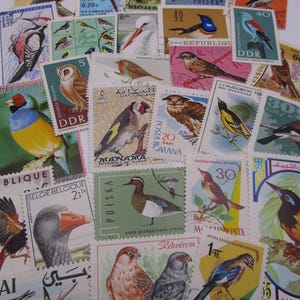 Bird stamps from different countries, set of 25 or 50 bird postage stamps, unused and used bird stamps