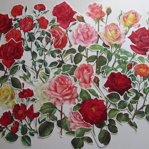 10pc large Roses Ephemera Pack, Flower Paper Ephemera, Roses cut outs,Vintage floral fussy cuts,Scrapbook,Junk journal supplies, Mixed media