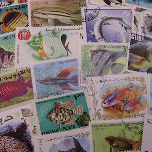 魚の切手、美しいものもそうでないものも:) さまざまな国の魚の切手、25 枚または 50 枚の魚の切手、未使用および使用済みの魚の切手
