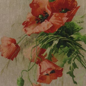 Catherine Klein vintage postcard, still life of some poppies, artist signed postcard, antique postcard poppies, floral postcard