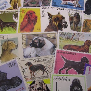 25 or 50 dog stamps from different countries, set of 25 or 50 dog postage stamps, unused and used dog stamps