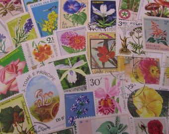 25 o 50 francobolli di flora da tutto il mondo, fiori, piante, alberi, funghi, cactus... francobolli, usati e nuovi