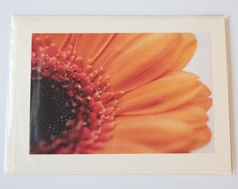 Greeting card handmade and customisable of an orange gerbera flower