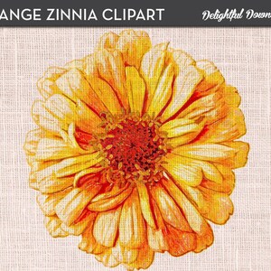 Flower Clip Art &quot;ORANGE ZINNIA&quot; for Digital Collage or Iron-on Transfer