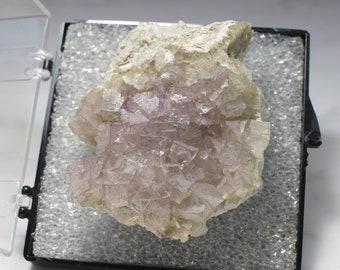 in Perky Box Display Kentucky Light-Lavender Fluorite Cubes with Barite Mineral Specimen from Danville