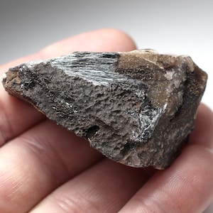 May include: A close-up of a dark gray mineral specimen with a rough, textured surface. The mineral has areas of shiny, metallic-looking crystals and lighter, tan-colored patches. The overall shape is irregular and jagged.