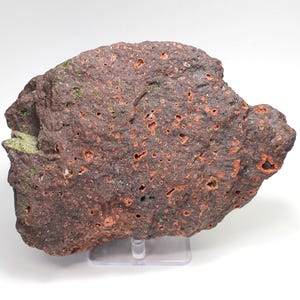 May include: A rough, porous volcanic rock specimen featuring a deep reddish-brown base color with scattered bright orange and olive green mineral inclusions throughout its uneven, pitted surface, mounted on a small, clear acrylic display stand.