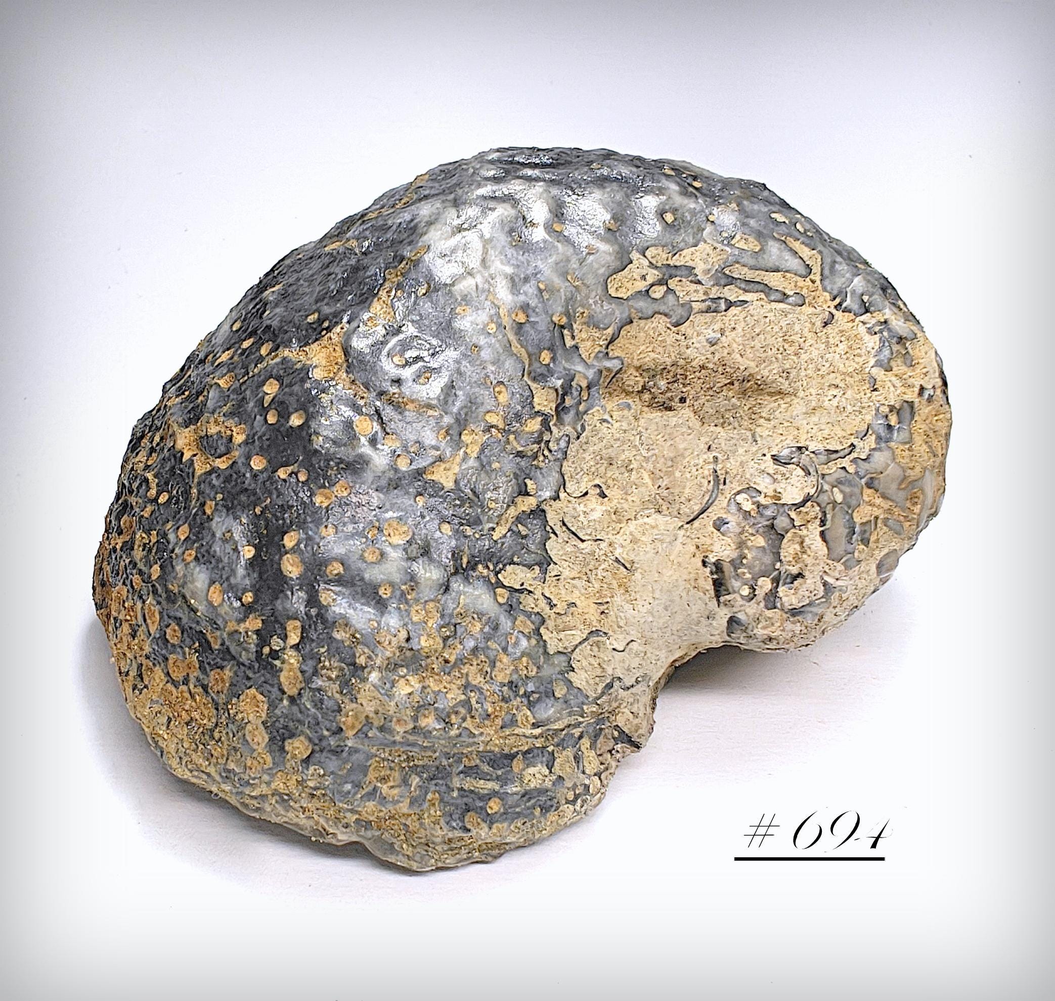 Whale Stomach Perfume 3ml Black Ambergris From Indian Ocean Dark