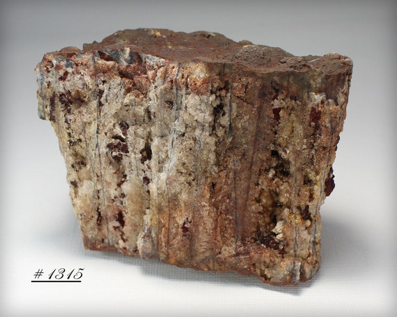 Petrified Wood Large Piece of Raw Super-aesthetic Petrified | Etsy