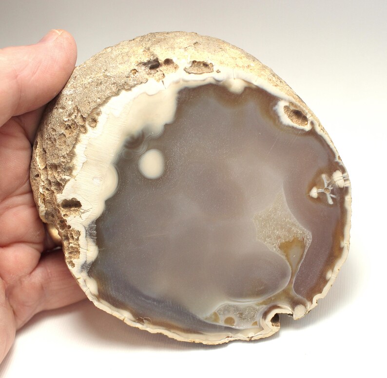 Polished Agate Geode Slice: Natural Colors, Brazil, 4.65 X 4 Inches - Etsy