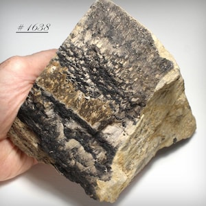 May include: A white ceramic mug with a black handle and the text "But First, Coffee" in a black, bold font. The mug is likely 11 ounces in size and sits on a white surface.