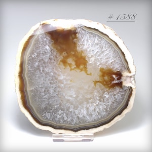 May include: A polished agate slice with concentric bands of white, brown, and tan hues. The natural stone features a crystalline center and is displayed on a clear stand. The number "#1588" is printed in the upper right corner.