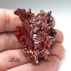 Super-Fine, Brilliant, Colorful, Lustrous Vanadinite Crystal Cluster, from Mibladen, Morocco - A Miniature