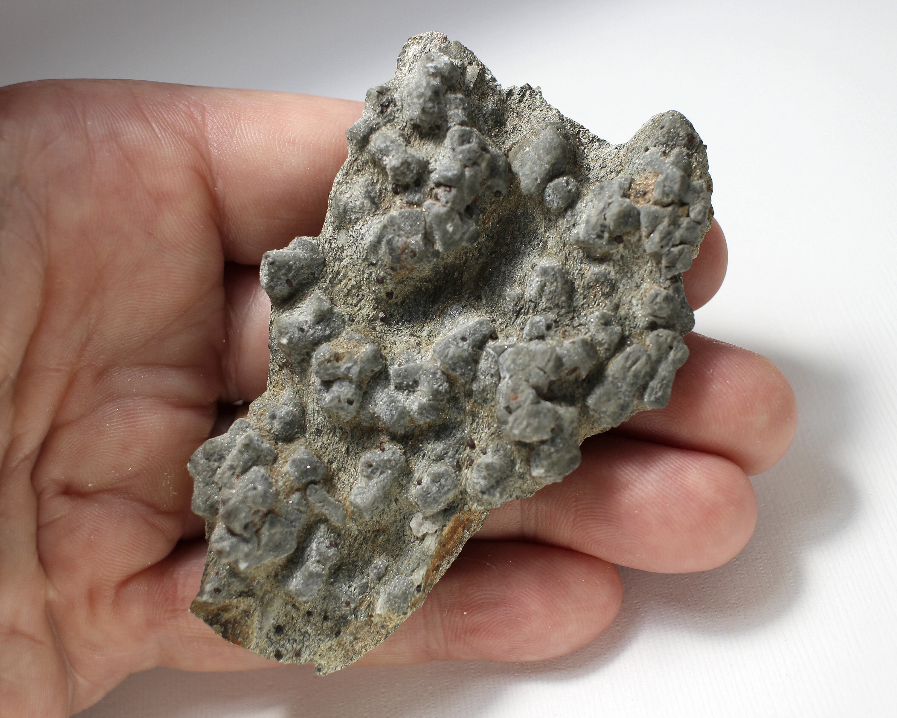 Staurolite Crystals with Almandine Garnets in Mica Schist - Patrick County, Virginia, USA