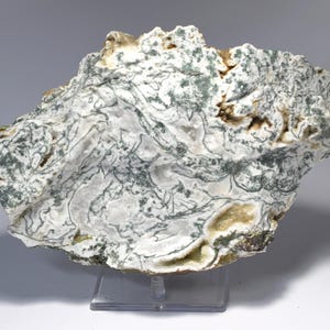 May include: A rough-hewn, natural stone specimen. The stone features a white base color with intricate patterns of green and brown veining throughout. The stone is displayed on a clear plastic stand, showcasing its natural texture and color variations.