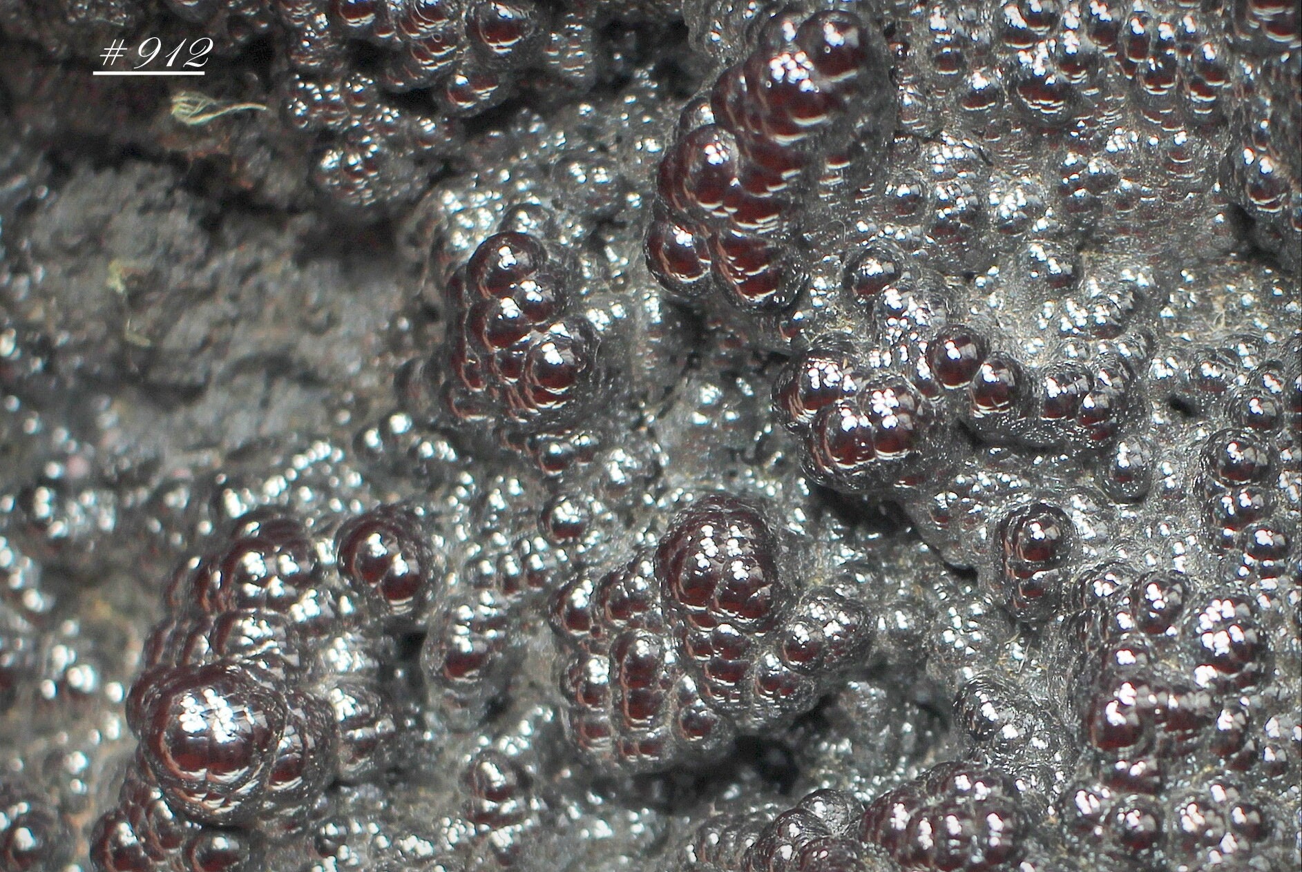 Red Botryoidal Hematite Specimen, From Cheshire County, New Hampshire ...