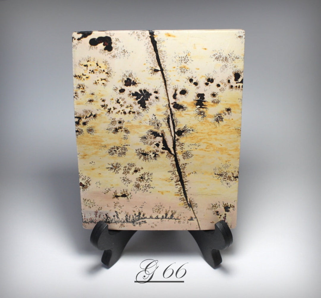 Natural Chinese 'picturestone' picture Jasper Etsy