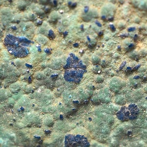 May include: Close-up of a mineral specimen with a textured surface. The dominant colors are shades of green and blue. Small, dark blue crystal formations are scattered across the surface, creating a visually interesting pattern. The overall appearance suggests a natural, earthy aesthetic.