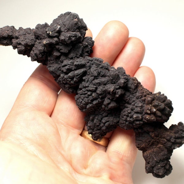 Terrific Large Dragon-Shaped Coprolite (Fossilized Poop) or an Amazing Ferruginous Concretion- A Mystery from Madagascar