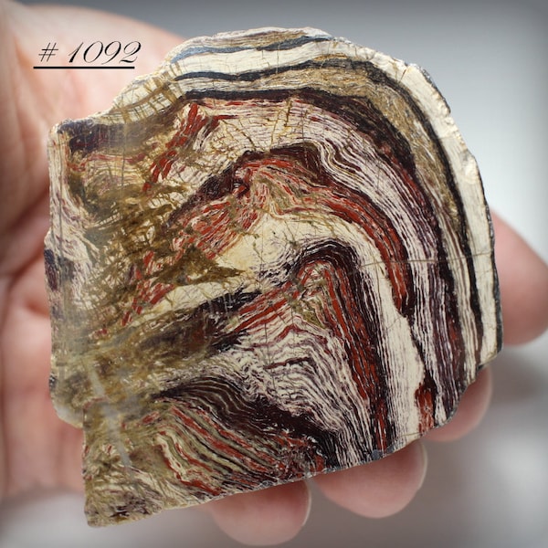 Beautiful, Large Hunk of Highly Polished (One Side) Snakeskin-Jasper Stone from Australia