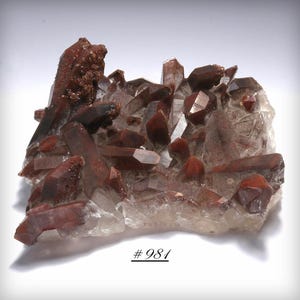 May include: A cluster of translucent quartz crystals featuring deep reddish-brown inclusions and iron staining throughout the points and base. The specimen displays a variety of sharp, angular crystal formations and is labeled with the text #981.