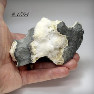 Fluffy Okenite & Gyrolite on Basalt Matrix - Pune, India