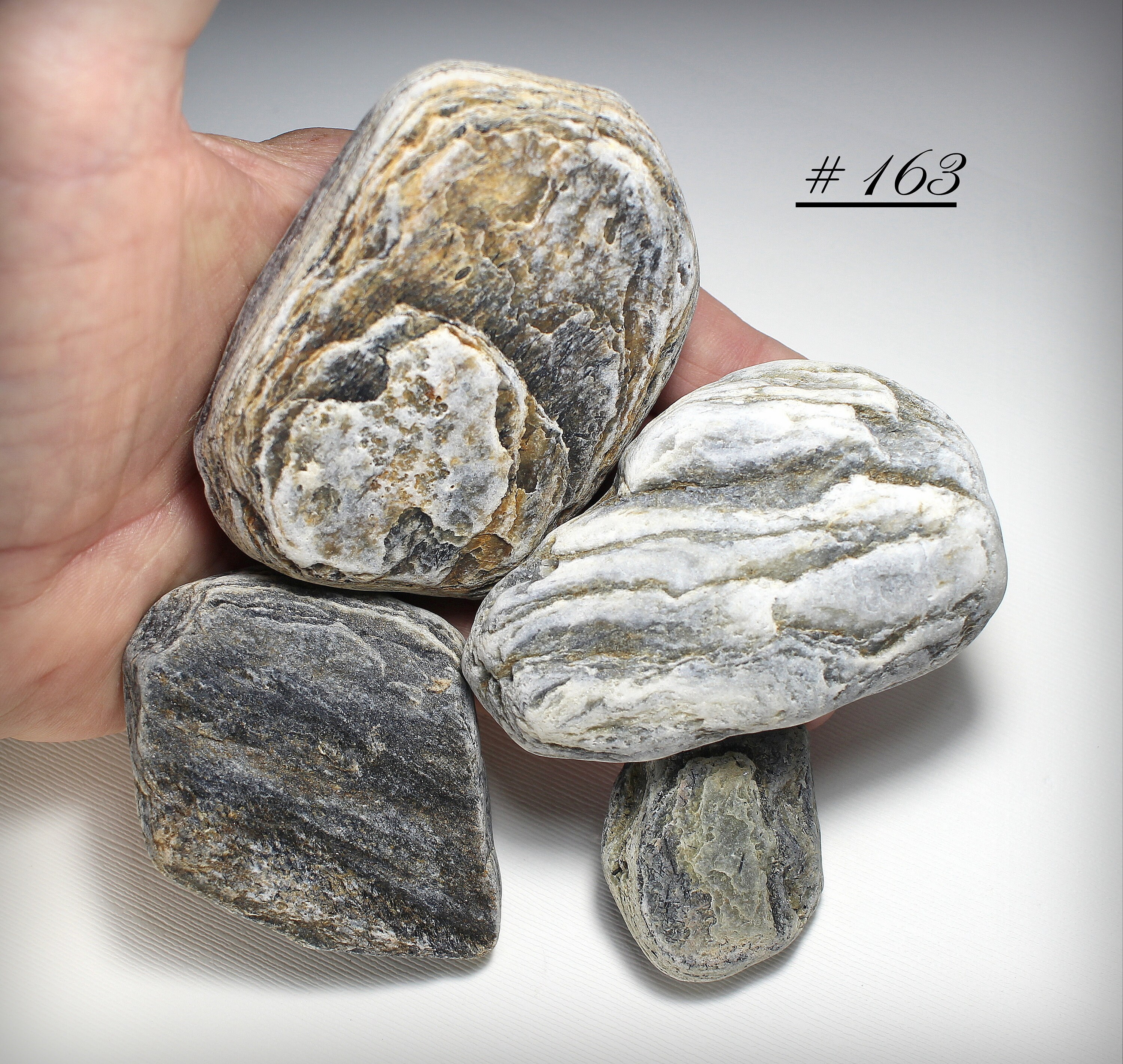 Four Marvelously Pretty Foliated Beach Stones, with Actinolite Crystals, Collected from California's Faulted Laguna Beach Area