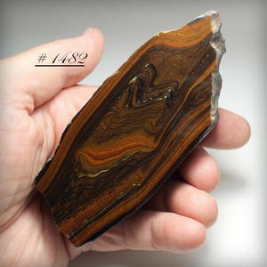 Banded Iron Formation - Polished (One Side) Ancient Australian Banded Iron Jasper with Magnetite and Hematite - Mineral and Display Specimen