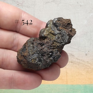 May include: A rough, dark brown mineral specimen with a textured surface, held in a hand. The number "# 542" is visible in the upper left corner. The mineral has a mix of dark brown, black, and some lighter, possibly metallic, areas.