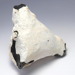 May include: A roughly triangular, off-white stone with black inclusions. The stone has a textured surface and irregular edges, with a dark, glossy area visible on one side. The overall shape is somewhat asymmetrical.
