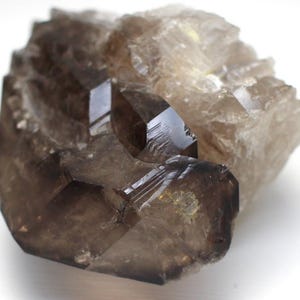 Smoky Elestial Alligator Quartz Crystal: Muscovite Mica, Brazil
