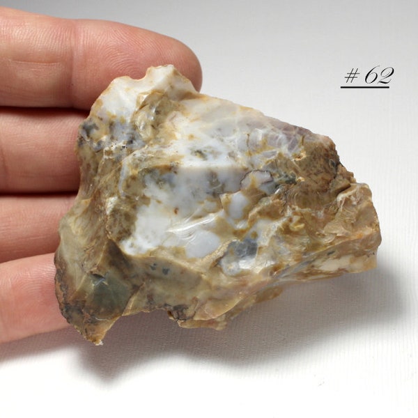 Agatized Coprolite (Fossilized Poop) from Shootaring Canyon, Utah, USA