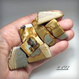 Owyhee Picture Jasper - Beautiful Polished Freeform Pieces of Owyhee Picture Jasper - Picture or Landscape Jasper Stone from Oregon, USA