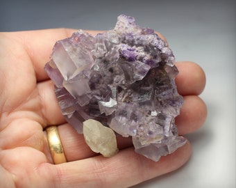 FLUORITE Violet Cubique avec QUARTZ Laiteux, magnifique