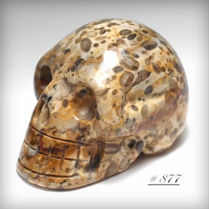 Hand-Carved Agate Crystal Skull: Polished Stone Figurine