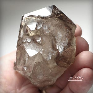 Smoky Clear Elestial Jacaré Alligator Quartz Crystal, from Minas Gerais, Brazil