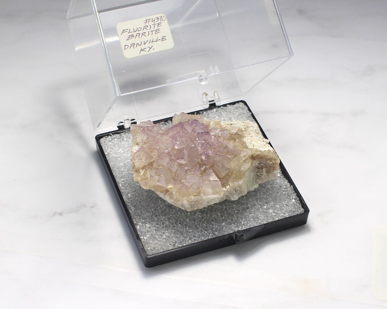 in Perky Box Display Kentucky Light-Lavender Fluorite Cubes with Barite Mineral Specimen from Danville