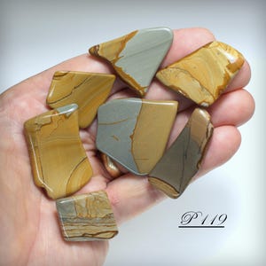 Owyhee Picture Jasper - 7 Beautiful Polished Freeform Pieces of Owyhee Picture Jasper - Picture or Landscape Jasper Stone from Oregon, USA
