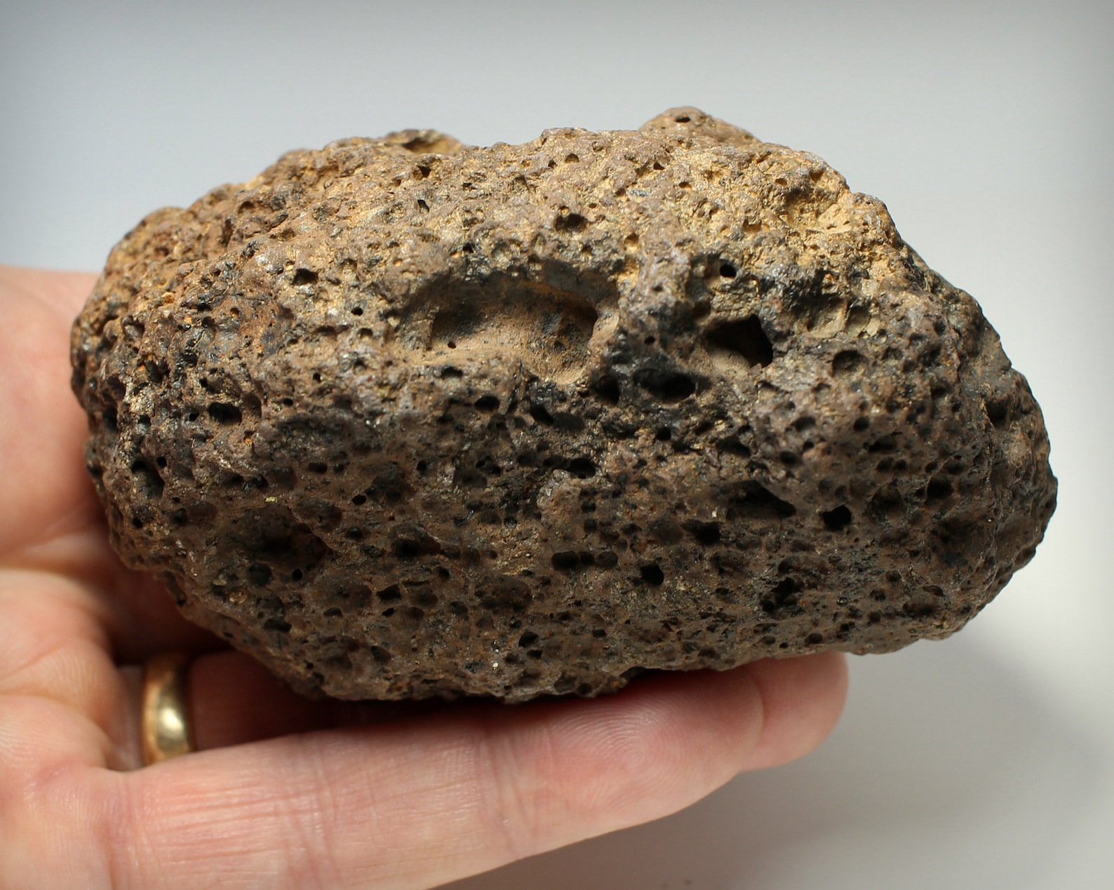 Solidified Vesicular Basaltic/andesitic Lava With Round Etsy