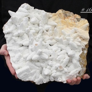 May include: A large, irregularly shaped rock formation with a textured, white crystalline surface. The rock has a beige and tan section on one side. The text "# 1610" is visible in the upper right corner.