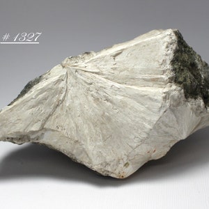 May include: A light-colored mineral specimen with a radiating, fan-like pattern. The rock has a rough, textured surface with areas of dark green and the text "#1327".