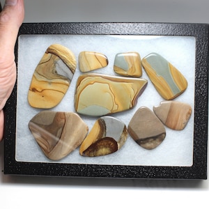 Polished Biggs Picture Jasper - 9 Pieces of Polished Biggs Picture Jasper in Riker Display Box! - Stones from Oregon, USA, Polished in House