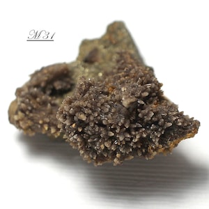 Rensselaer Quarry Dark Brown Calcite Scalenohedra Cluster, with Pyrite - Mineral Collectible from Indiana, USA