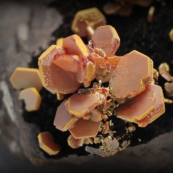 Vanadinite - Super-Fine, Bright, Colorful, Lustrous Vanadinite Crystals, on Black Psilomelane and Goethite Matrix, from Mibladen, Morocco