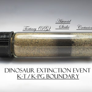 Authentic K-T Boundary ( (K–Pg) Boundary) Sediment Layers Marking the Extinction Event Causing the End of the Dinosaurs, from North Dakota